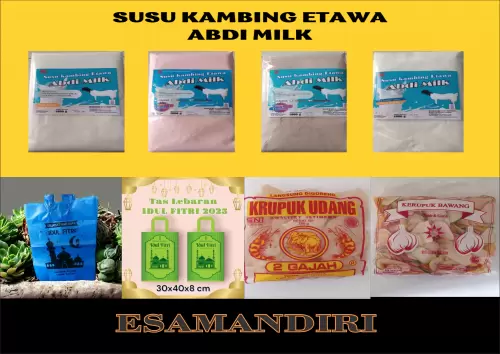 Header ESAMANDIRI