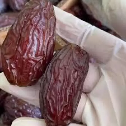 Kurma 2